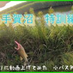 (手賀沼)　夏の手賀沼でバス釣り　苦手なワームの特訓　＃手賀沼　＃バス釣り　＃カットテール
