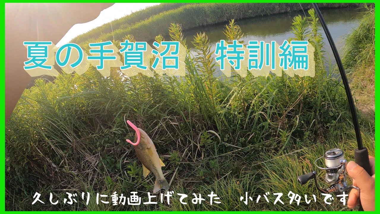 (手賀沼)　夏の手賀沼でバス釣り　苦手なワームの特訓　＃手賀沼　＃バス釣り　＃カットテール