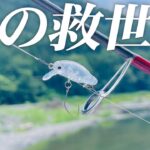 夏の管釣り、渋い時間を乗り切るためにはこのルアーを使ってください【エリアトラウト】【管理釣り場】【カディス】