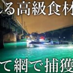 高級食材を一網打尽！湖の河口に流れる生き物を全て網ですくう［えびすき漁］を調査しました