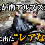 初めての南アルプス。日帰りでも出たレアな一尾とは？【渓流釣り】