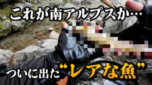 初めての南アルプス。日帰りでも出たレアな一尾とは？【渓流釣り】
