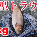 メタボ大物トラウトが居る管理釣り場へ行ってみた結果【エリアトラウト】