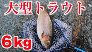 メタボ大物トラウトが居る管理釣り場へ行ってみた結果【エリアトラウト】