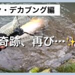 イワセン・デカブング編　奇跡、再び…✨【エリアトラウト】【管理釣り場】【日本イワナセンター】