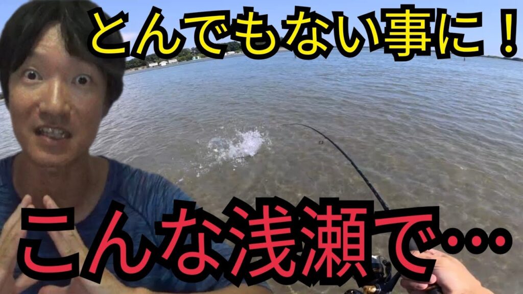 浜名湖の底が見える浅瀬で釣りしたら…