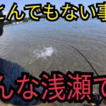 浜名湖の底が見える浅瀬で釣りしたら…
