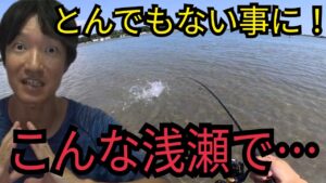 浜名湖の底が見える浅瀬で釣りしたら…