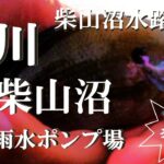 【荒川、大間雨水ポンプ場、柴山沼、柴山沼水路、ウキ釣り】【利根川＆荒川水系、バス釣り、コイ釣り、雷魚釣り、ナマズ釣り、フィシング、埼玉釣り、関東釣り、小物釣り、大間エリア】