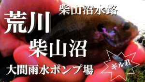 【荒川、大間雨水ポンプ場、柴山沼、柴山沼水路、ウキ釣り】【利根川＆荒川水系、バス釣り、コイ釣り、雷魚釣り、ナマズ釣り、フィシング、埼玉釣り、関東釣り、小物釣り、大間エリア】