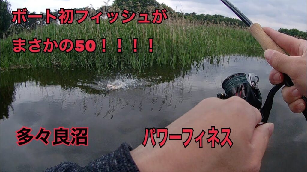 多々良沼　バス釣り　　パワーフィネスでボート初フィッシュがまさかの５０センチ！！