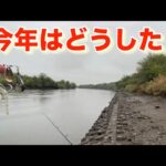 【小貝川バス釣り】みなさん釣れてますか？