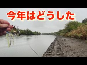【小貝川バス釣り】みなさん釣れてますか?