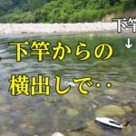 鮎釣り　下竿からの瀬の引き釣りが凄い／高原川