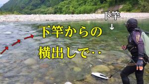 鮎釣り 下竿からの瀬の引き釣りが凄い/高原川
