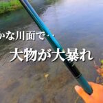 【渓流釣り】【餌釣り】重くて上がらない魚が掛かった
