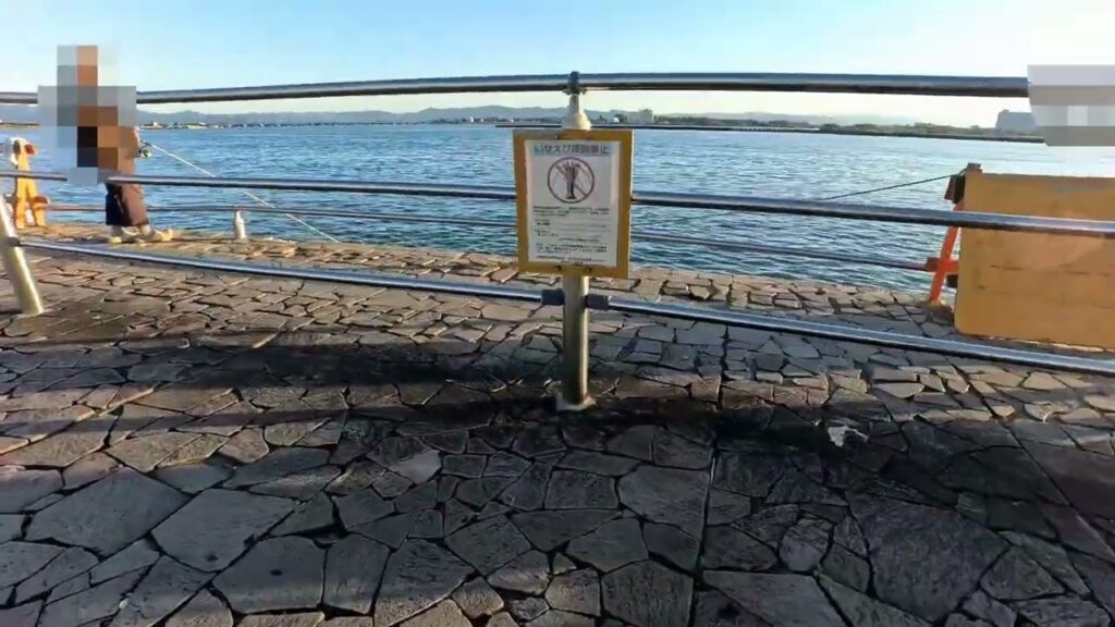海釣公園　アジ釣れています