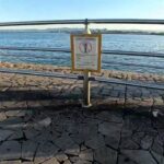 海釣公園　アジ釣れています