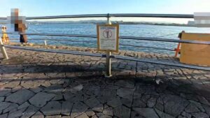 海釣公園　アジ釣れています