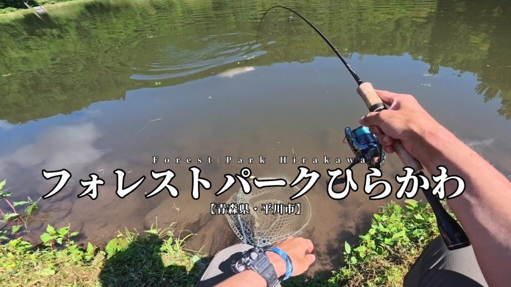 地元で大型トラウトが狙える管理釣り場【青森県・フォレストパークひらかわ】