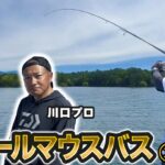 原西＆岡村の桧原湖で【スモールマウスバス釣り】③