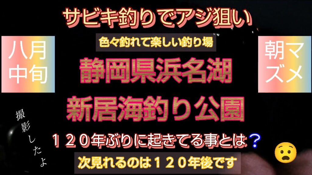 静岡県浜名湖　新居海釣り公園　サビキ釣りでアジ狙い　色々釣れて楽しい釣り場　朝マズメ　八月中旬　１２０年ぶりに起きてる事とは❔　次見れるのは１２０年後です　撮影したよ