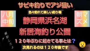 静岡県浜名湖 新居海釣り公園 サビキ釣りでアジ狙い 色々釣れて楽しい釣り場 朝マズメ 八月中旬 120年ぶりに起きてる事とは❔ 次見れるのは120年後です 撮影したよ