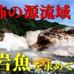 源流に潜む大岩魚を求め、“まさかの恐怖”の先へ…！渓流釣り車中泊遠征最終日