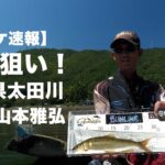 ロケ速報(ほぼ素材)｜鮎シーズン終盤戦｜広島県太田川｜尺鮎狙い｜山本雅弘