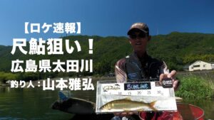 ロケ速報(ほぼ素材)|鮎シーズン終盤戦|広島県太田川|尺鮎狙い|山本雅弘