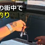 東京の街中の川でハゼ釣りして絶品天ぷらをいただく