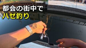 東京の街中の川でハゼ釣りして絶品天ぷらをいただく