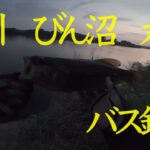 荒川、びん沼、丸堀　バス釣り