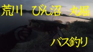 荒川、びん沼、丸堀 バス釣り