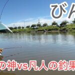 びん沼へらぶな釣り。下流の神vs凡人の圧倒的釣果の差wへらぶな釣りがいかにゲーム性の高い釣りかが分かるwカネヒラ初めてびん沼で見ました！