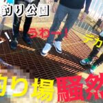 無料の海釣り公園で、この秋1番の大物釣れて現場驚愕！　　南港海釣り園　　　　貝塚人工島　武庫川一文字　#ショアジギング