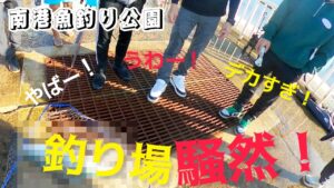 無料の海釣り公園で、この秋1番の大物釣れて現場驚愕! 南港海釣り園 貝塚人工島 武庫川一文字 #ショアジギング