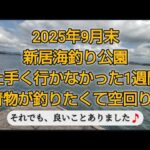 青物の引きに魅了され、空回りした1週間…浜名湖新居海釣り公園