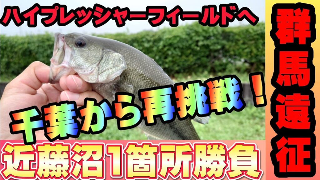 【群馬遠征】近藤沼！難関フィールドへ再挑戦！絞り出した1本！房総半島からの挑戦 バス釣り BASSfishing