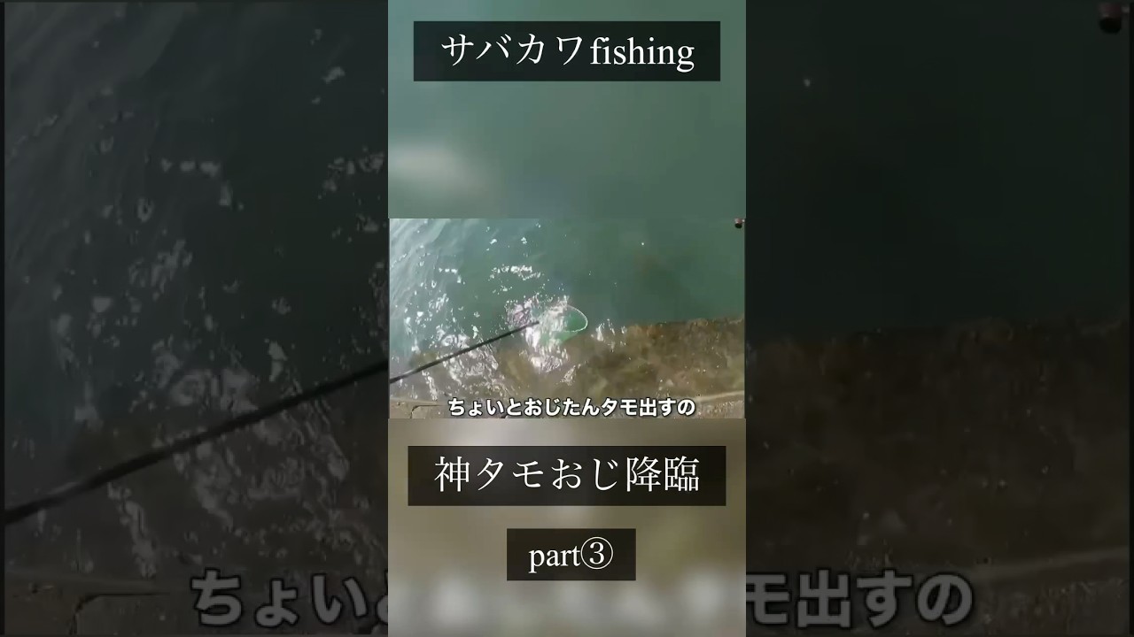 浜名湖 釣り ふかせ 連発 爆釣 10月のポイント 穴場