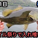 【桧原湖バス釣り】ボイル祭りで表層入れ喰い！【10月】