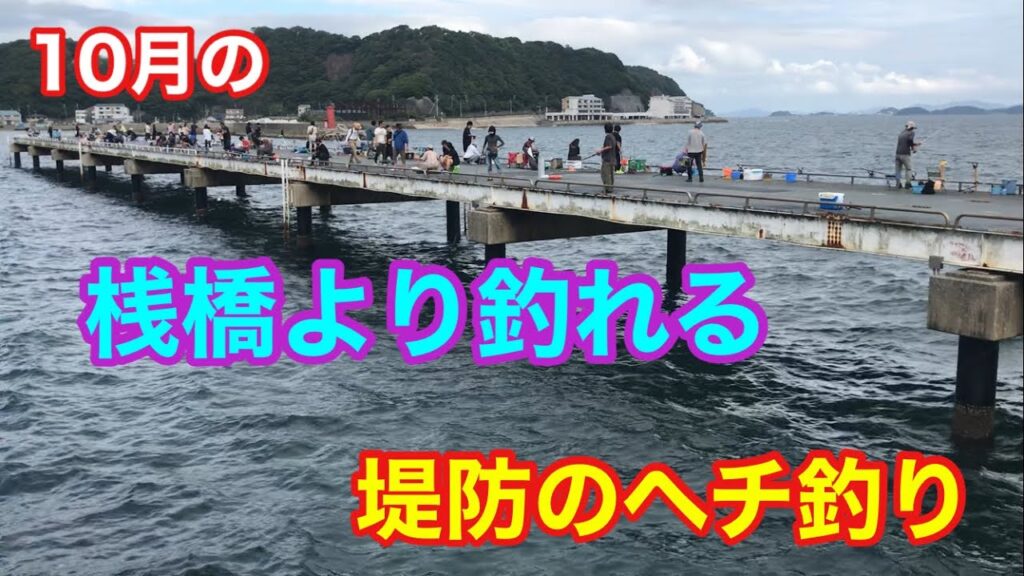 10月の桟橋より釣れる堤防のヘチ釣り 豊浜釣り桟橋 知多半島