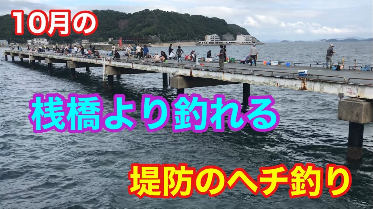 10月の桟橋より釣れる堤防のヘチ釣り 豊浜釣り桟橋 知多半島