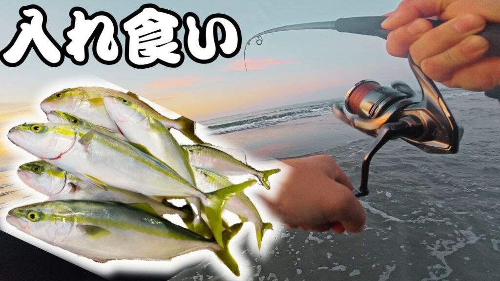 【遠州灘サーフ】10月初旬も絶好調！？激浅サーフで入れ食いショアジギング！