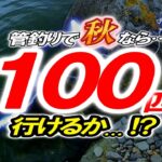 【エリアトラウト】秋の管釣りで“100匹”行けるか…!?【みどりFA】