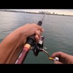 本日10月10日(金)超最速情報📢ある魚が大回遊中！【浜名湖釣り】🎣