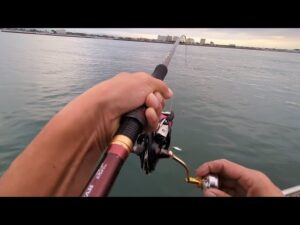 本日10月10日(金)超最速情報📢ある魚が大回遊中！【浜名湖釣り】🎣