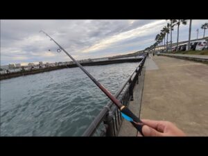 本日10月19日日曜日最速📢浜名湖へ弓角を投げに来たものの…【浜名湖釣り】🎣