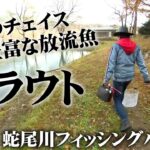 超クリア！ニジマスやイトウなど多彩な魚の迫力あるチェイスが楽しめる管理釣り場 『エリアトラベラーズ 107』【釣りビジョン】