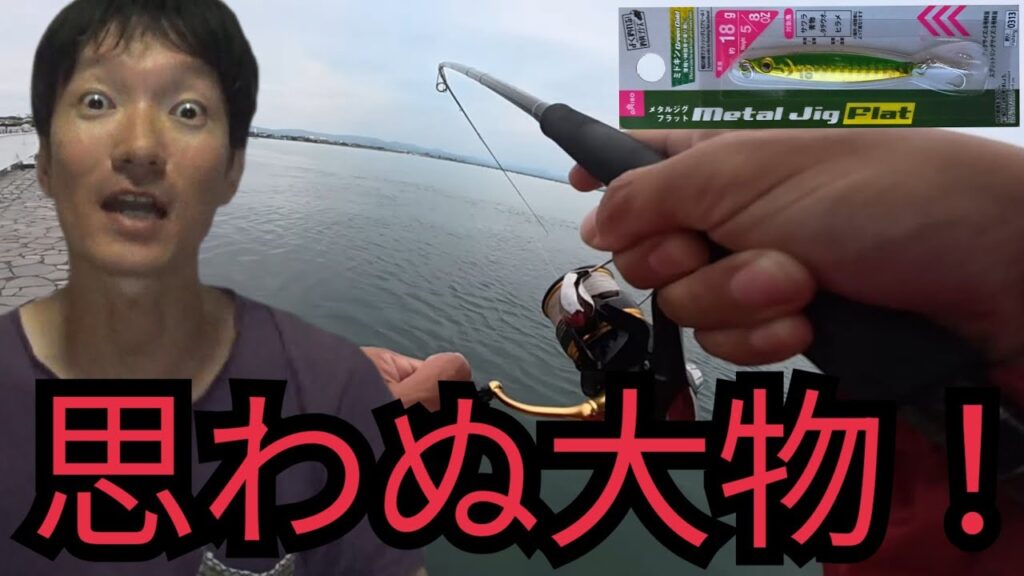10月の浜名湖海釣り公園T字堤防で釣りしたら⋯